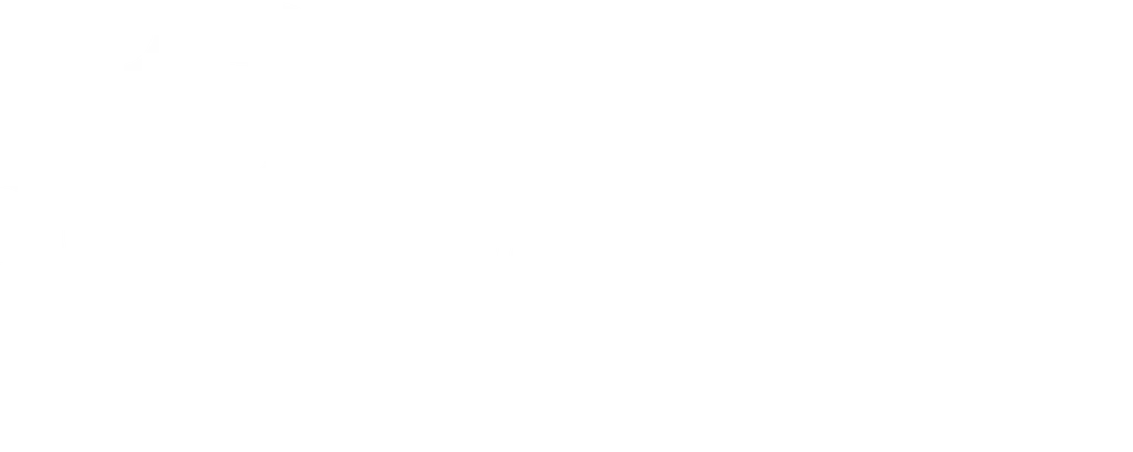 Partify